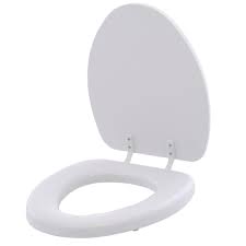 toilet seat